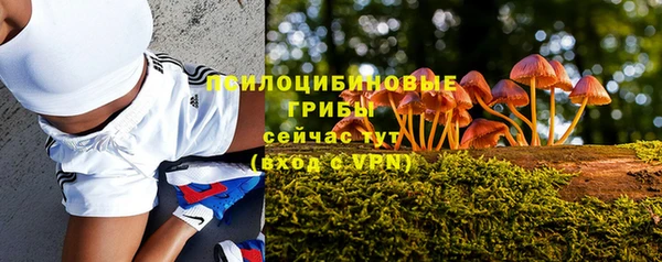 соль ск Арсеньев