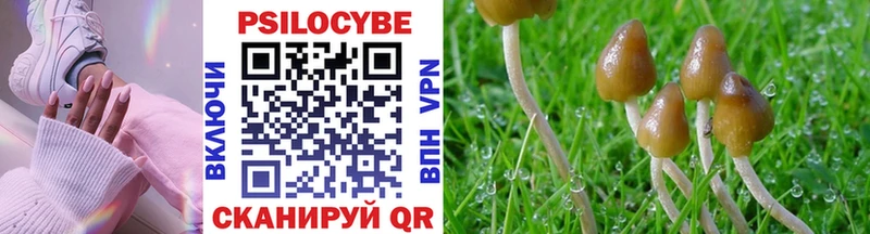 Псилоцибиновые грибы Magic Shrooms  Чудово 